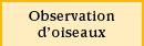 Observation d'oiseaux